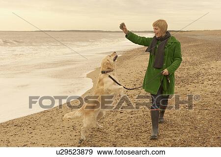 Stock Photo - Woman training, playing with dog, beach. Fotosearch