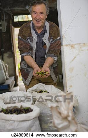 Picture - Worker with olive harvest. Fotosearch