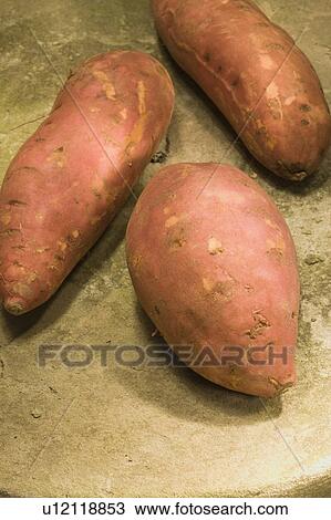 Yam View Large Photo Image Stock Image - Yam. Fotosearch