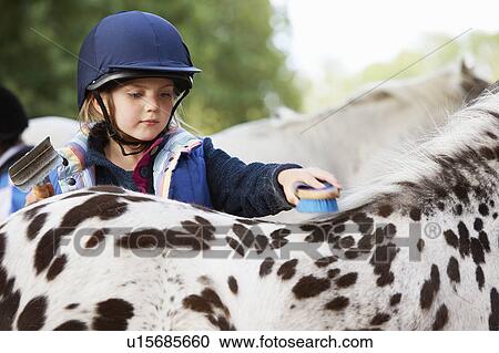 Young girl grooming her pony View Large Photo Image Stock Image - Young girl grooming her pony. Fotosearch