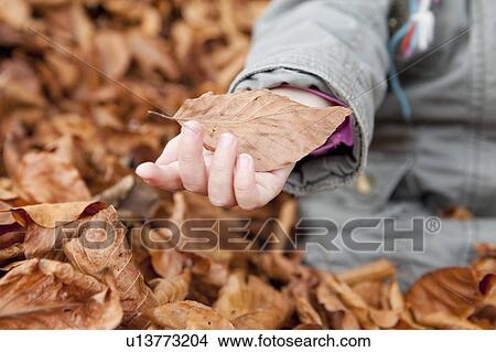 Picture - Young girl holding a leaf. Fotosearch