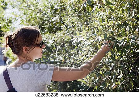 Young woman on nature hike View Large Photo Image Stock Photo - Young woman on nature hike. Fotosearch