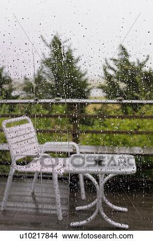 Picture - A rainy garden view from behind a screen. Fotosearch