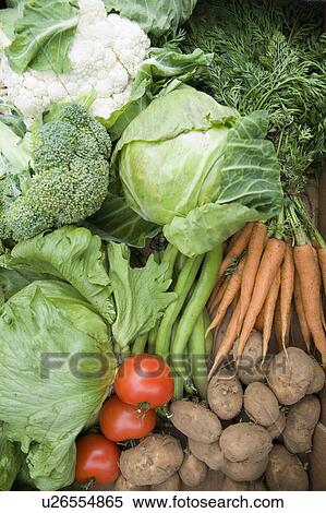 Stock Photography - A selection of fresh vegetables. Fotosearch