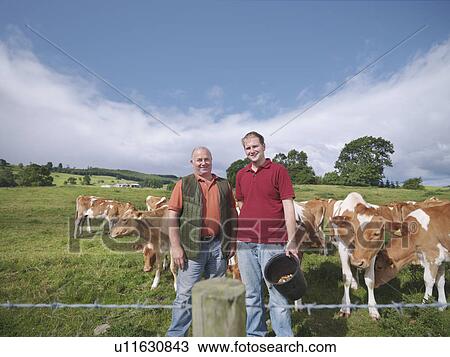 Armer and son with Guernsey calves View Large Photo Image Stock Image - Armer and son with Guernsey calves. Fotosearch