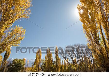 Picture - Autumn landscape. Fotosearch