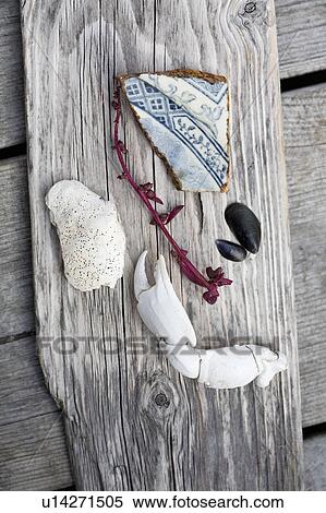 Beach combing objects on plank of wood View Large Photo Image Stock Photography - Beach combing objects on plank of wood. Fotosearch