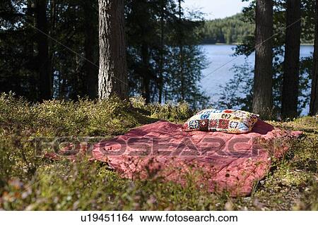 Bed in forest by lake View Large Photo Image Picture - Bed in forest by lake. Fotosearch
