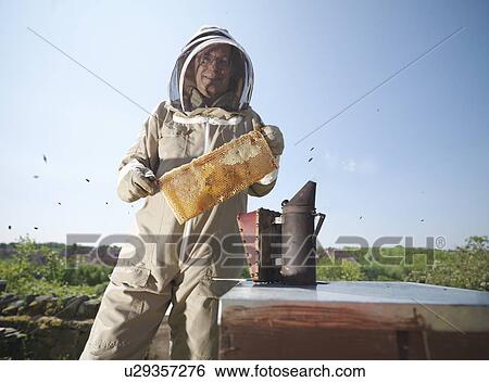 Beekeeper with honey comb and smoker View Large Photo Image Stock Photograph - Beekeeper with honey comb and smoker. Fotosearch