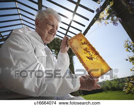 Beekeeper with honey comb View Large Photo Image Picture - Beekeeper with honey comb. Fotosearch