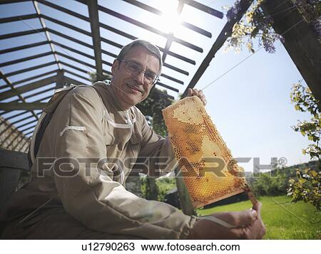 Beekeeper with honey comb View Large Photo Image Stock Image - Beekeeper with honey comb. Fotosearch