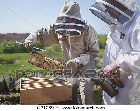 Stock Photo - Beekeepers with honey comb and smoker. Fotosearch
