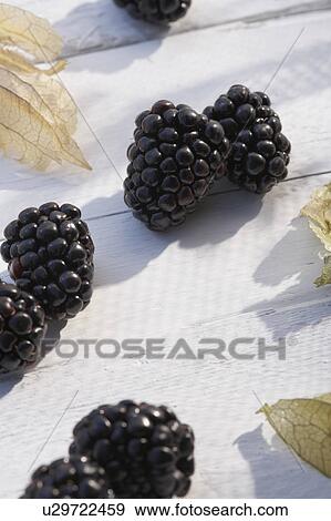 Stock Photo - Blackberries on white table in sunshine. Fotosearch