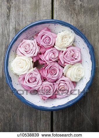 Stock Photo - Bowl of roses on wooden surface. Fotosearch