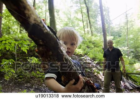Boy carrying a limb in a forest View Large Photo Image Stock Photo - Boy carrying a limb in a forest. Fotosearch