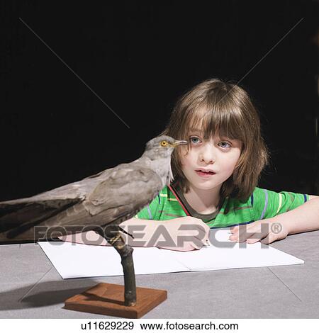 Boy drawing a bird View Large Photo Image Stock Photo - Boy drawing a bird. Fotosearch