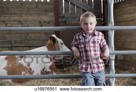 Stock Image - Boy in barn with cow. Fotosearch
