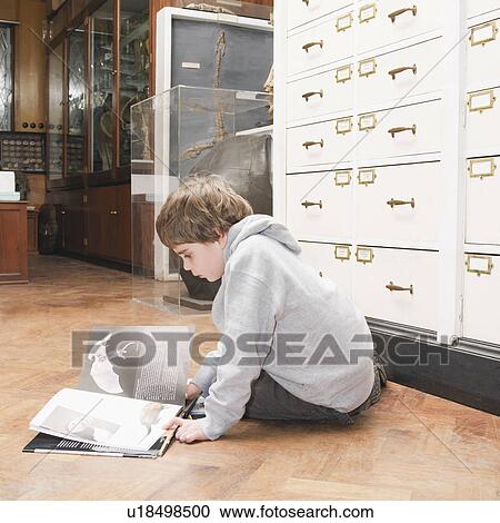 Boy looking at book View Large Photo Image Stock Image - Boy looking at book. Fotosearch
