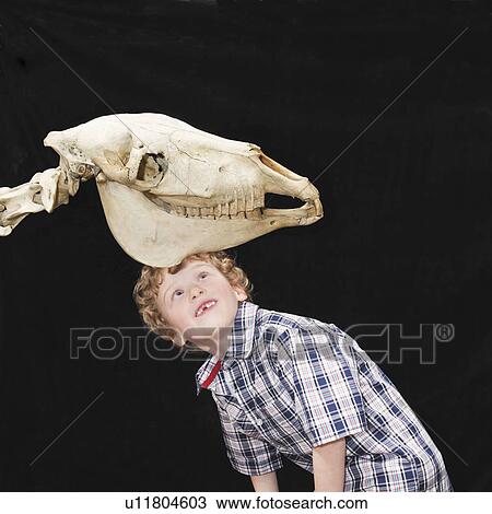 Boy looking at skeleton View Large Photo Image Stock Image - Boy looking at skeleton. Fotosearch