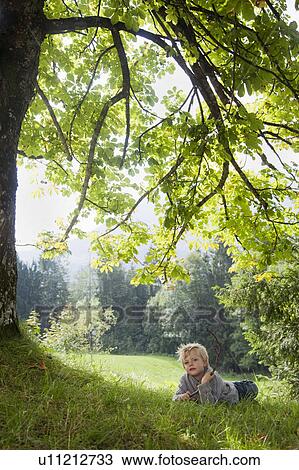 Stock Image - Boy lying under a tree. Fotosearch