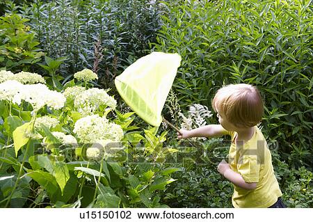 Stock Image - Boy playing with butterfly net in garden. Fotosearch