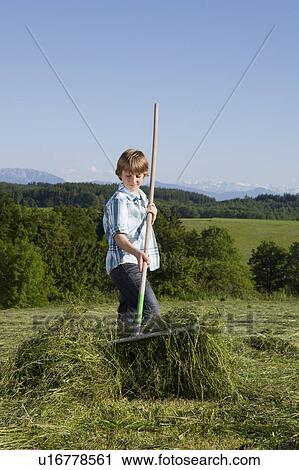 Boy raking the lawn on meadow View Large Photo Image Stock Image - Boy raking the lawn on meadow. Fotosearch