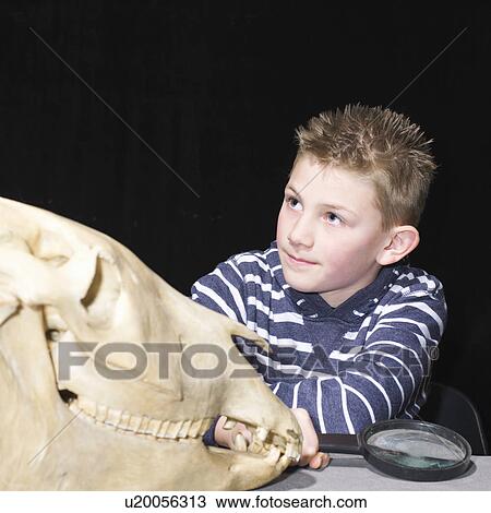 Stock Image - Boy with animal skull. Fotosearch