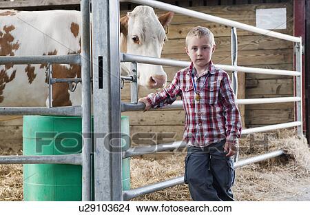 Boy with cow in barn View Large Photo Image Picture - Boy with cow in barn. Fotosearch