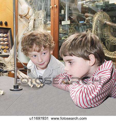 Boys looking at artifact in museum View Large Photo Image Stock Image - Boys looking at artifact in museum. Fotosearch