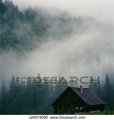 Stock Image - Cabin in the forest. Fotosearch