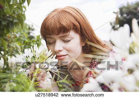 Close up of woman smelling flowers View Large Photo Image Stock Image - Close up of woman smelling flowers. Fotosearch