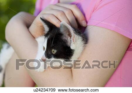 Close up of young cat View Large Photo Image Stock Photo - Close up of young cat. Fotosearch
