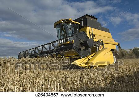 Combine harvester in wheat field View Large Photo Image Stock Photo - Combine harvester in wheat field. Fotosearch