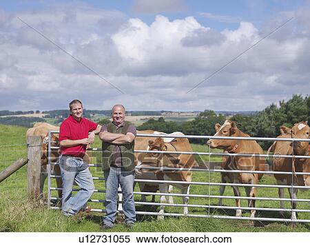 Farmer and son with Guernsey cows View Large Photo Image Stock Photography - Farmer and son with Guernsey cows. Fotosearch