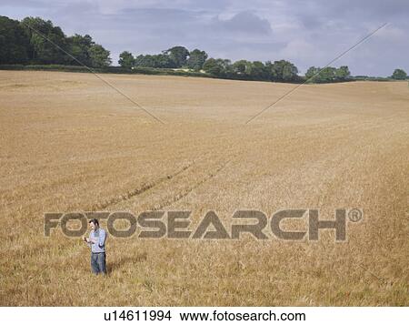 Farmer checking crop View Large Photo Image Picture - Farmer checking crop. Fotosearch