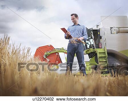 Farmer checking crop View Large Photo Image Stock Image - Farmer checking crop. Fotosearch