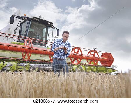 Farmer checking crop View Large Photo Image Stock Photo - Farmer checking crop. Fotosearch