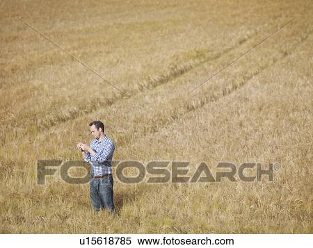 Farmer checking crop View Large Photo Image Stock Photography - Farmer checking crop. Fotosearch