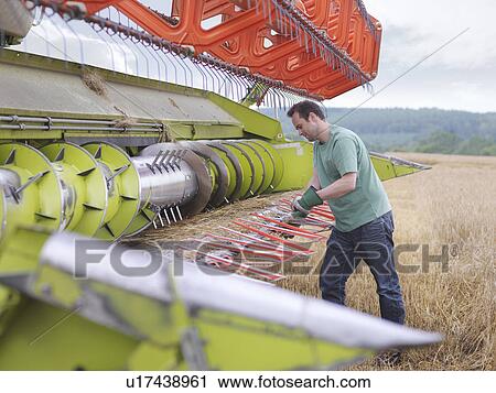 Farmer doing maintenance on harvester View Large Photo Image Stock Image - Farmer doing maintenance on harvester. Fotosearch