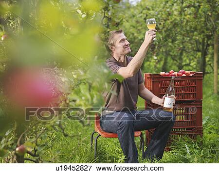 Farmer drinking cider in orchard View Large Photo Image Stock Photo - Farmer drinking cider in orchard. Fotosearch
