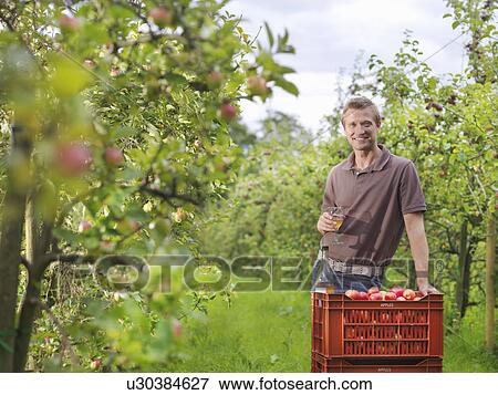 Stock Photo - Farmer drinking cider in orchard. Fotosearch