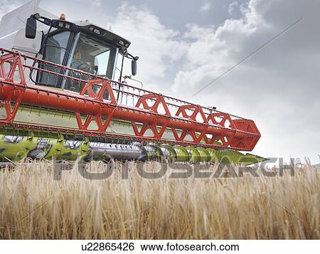 Farmer driving combine harvester View Large Photo Image Stock Photograph - Farmer driving combine harvester. Fotosearch