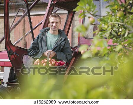 Farmer holds basket of apples View Large Photo Image Stock Photo - Farmer holds basket of apples. Fotosearch