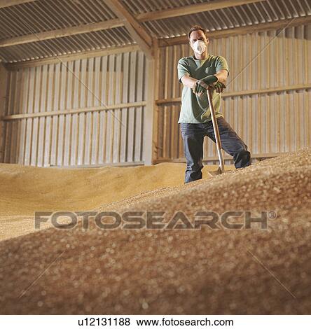 Stock Photo - Farmer in grain store. Fotosearch