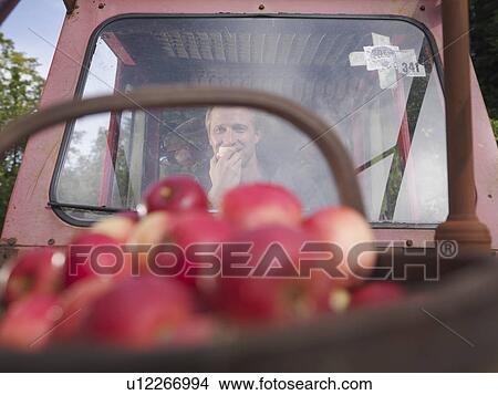 Farmer in tractor eating apple View Large Photo Image Picture - Farmer in tractor eating apple. Fotosearch