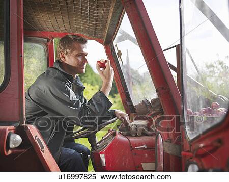Farmer in tractor eating apple View Large Photo Image Stock Photography - Farmer in tractor eating apple. Fotosearch