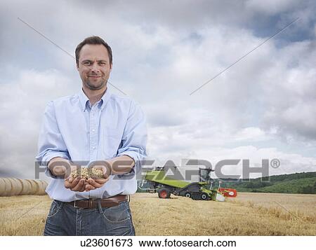 Farmer showing a handful of grain View Large Photo Image Stock Image - Farmer showing a handful of grain. Fotosearch
