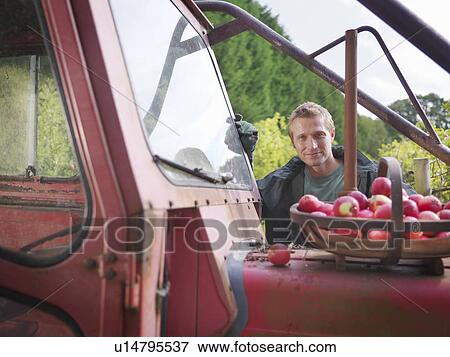 Farmer with apples and tractor View Large Photo Image Stock Photo - Farmer with apples and tractor. Fotosearch