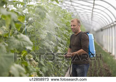 Stock Image - Farming vegetables and fruits. Fotosearch