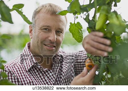 Stock Image - Farming vegetables and fruits. Fotosearch